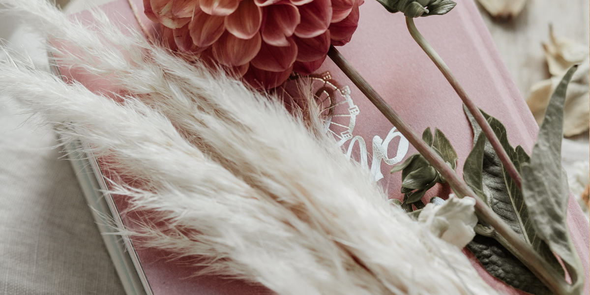 <h1>Our Bisbee Families</h1><p>The first Bisbees arrived at Plymouth Colony in 1635 aboard the <i>Hercules</i> and married into many of the Mayflower families already here.</p>
<!-- Slideshow Begin Link2 -->
						<p><a class='btn-small' href='showmedia.php?mediaID=303&medialinkID=166'>Hercules</a></p>